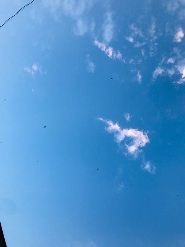 Ani: live as it was your last day, Do kindness even if you don’t get it&nbsp;back.