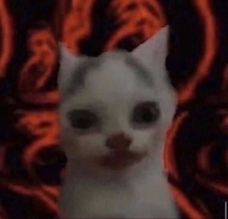 Tooth: I want to go to college to study art and animation and become a full time&nbsp;artist.