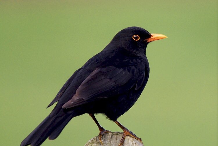 Merel: These times are hard for everyone, and it’s easy to get lost in negative thoughts or feel like&nbsp;crap.