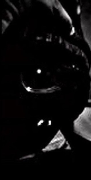 Trey: “Stay true to yourself and what you hold close, people will come and go, people will change, some for the better and some for the worse” 