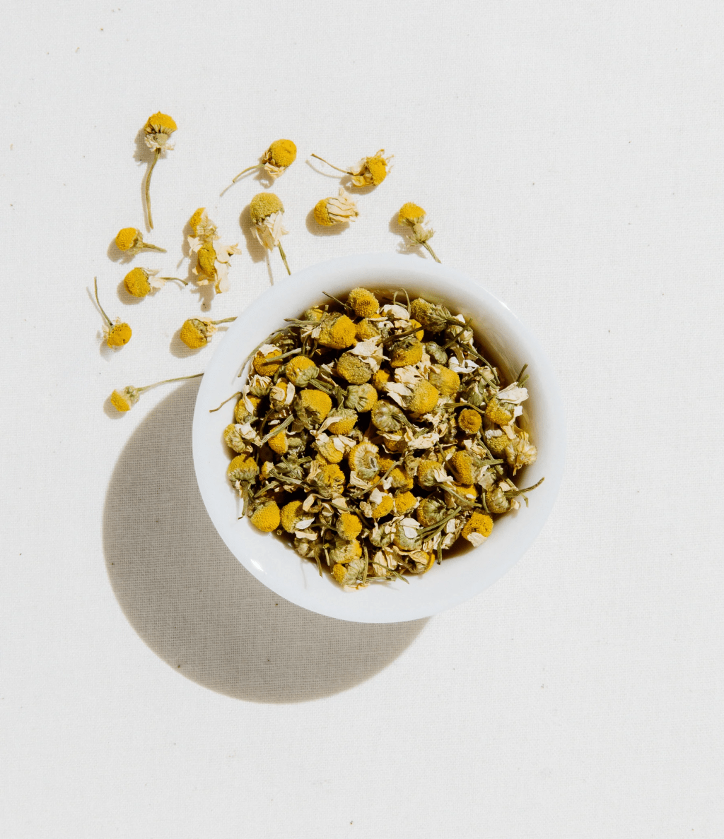 Egyptian Chamomile Tea: A Delicate Delight for Serenity&nbsp;Seekers