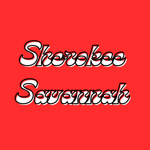 Sherokee Savannah: The Aesthetic&nbsp;Influencer