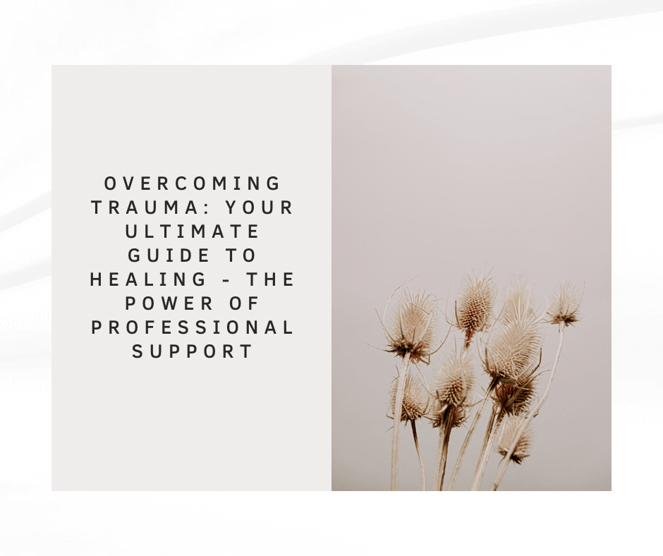 Overcoming Trauma: Your Ultimate Guide to Healing – The Power of Professional&nbsp;Support