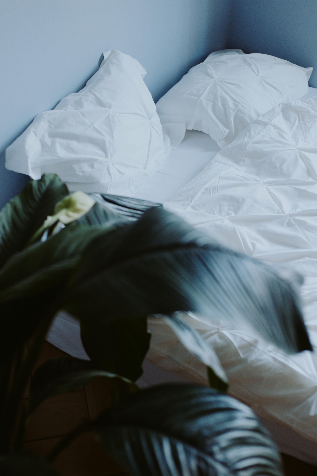 Reset to Rise: Why Your Night Routine Is Your Secret Weapon